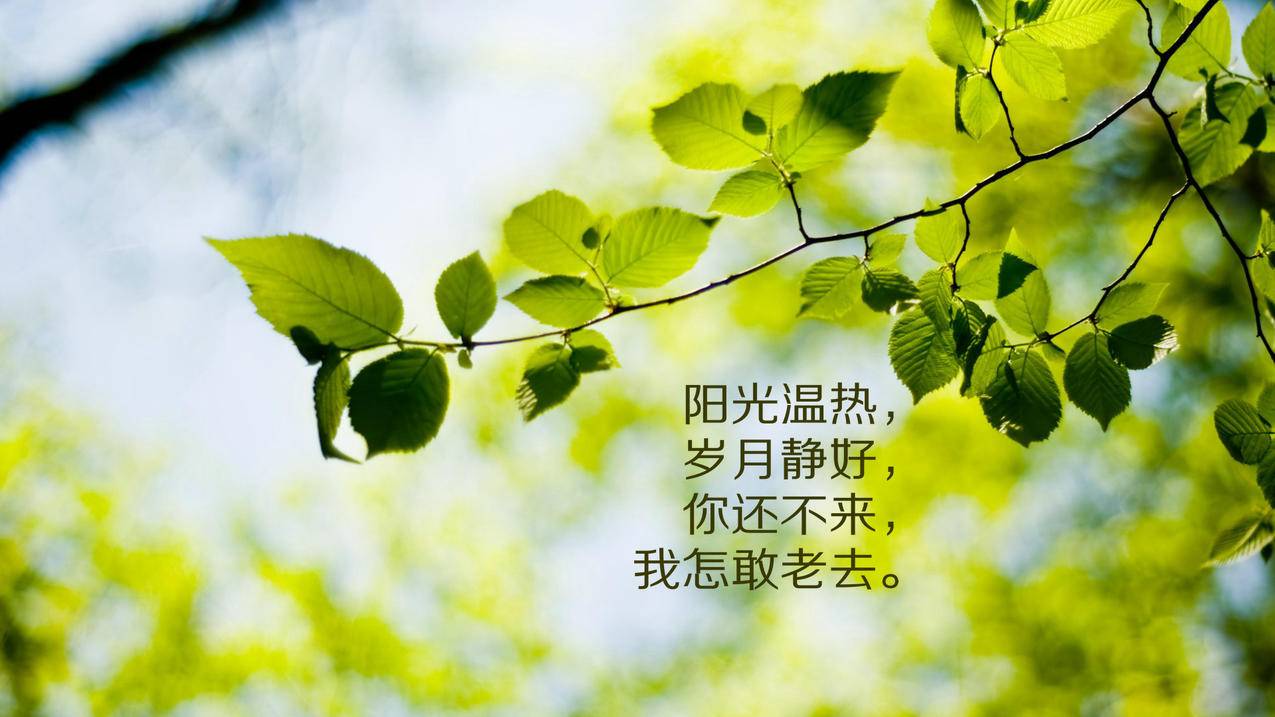 dy业务24小时下单平台|快手点赞业务24小时在线下单|抖音点赞自助平台24小时全网最低